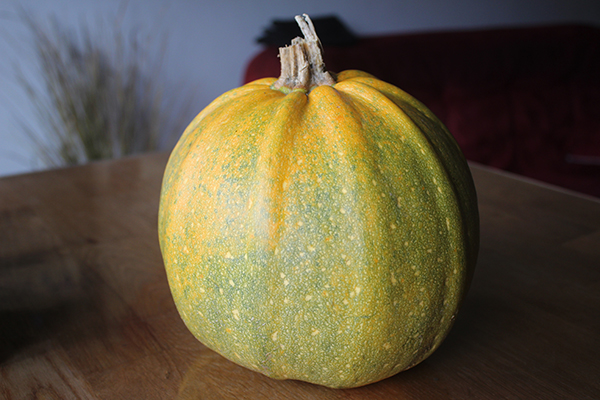 Pumpkin – a winter dose of immunity