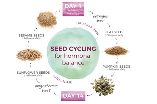 What seed cycling is?