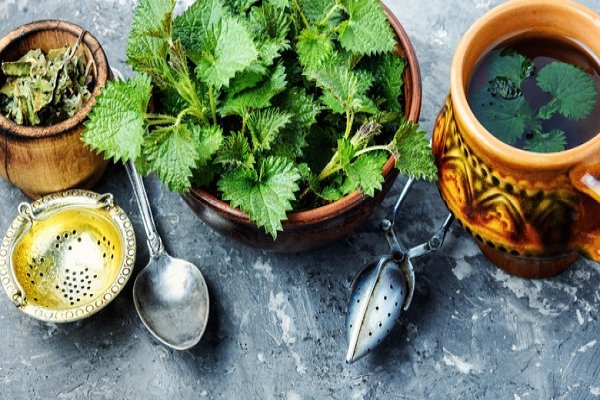 Nettle infusion