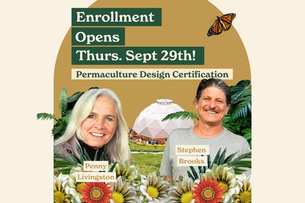 Permaculture Design Certification with Stephen Brooks and Penny Livingston